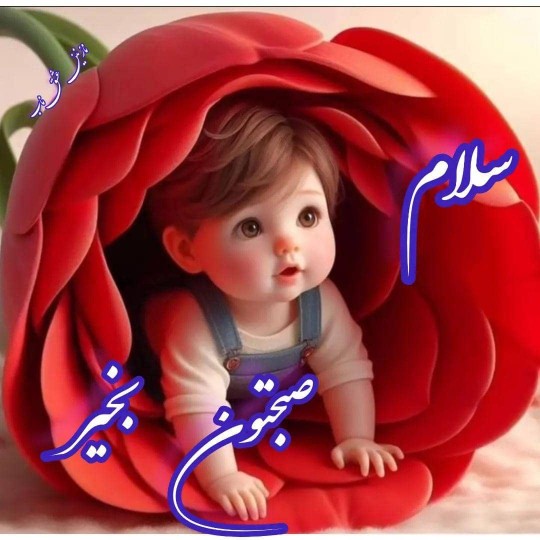 سلام صبح چهارشنبه تون بخیر🌹