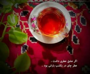 عطر چایی در یک شب بارانی