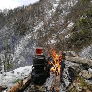 سلام🙋‍♂
صبح زمستانی❄️
شما عزیزان بخیر ☕️😊❄️
