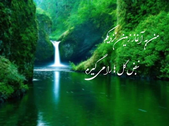 آخر هفته خوبی داشته باشید 🌹 کپشن 