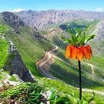 عجب منظره زیبایی