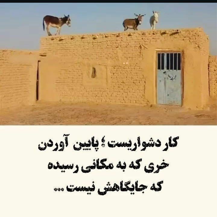 سلام صبحتون بخیر شادی ✔️