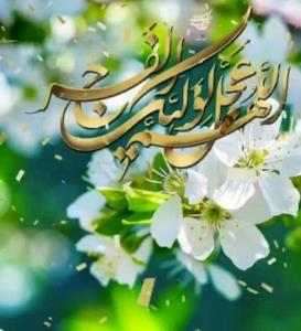 💚السلام علیک یا صاحب الزمان مولای غریبم💚