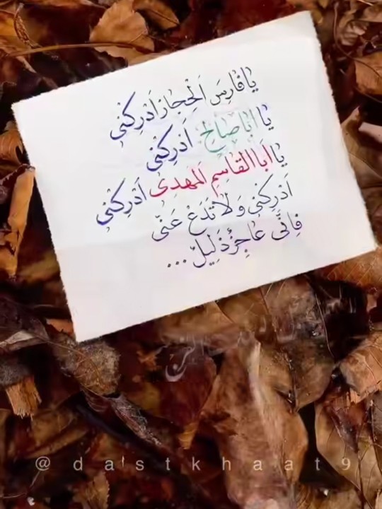 یامهدی ادرکنی