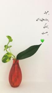 💚💚💚