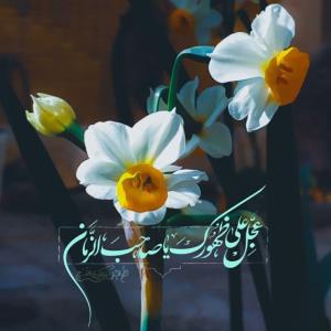 ‌
🍂آقا بیا تصویر دنیا را عوض کن
یا چشم های خسته ی ما را عوض