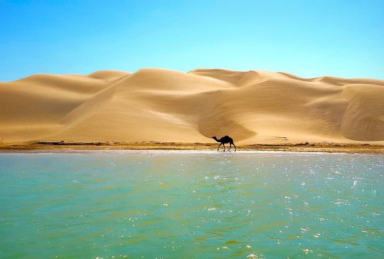 🌎تصویری زیبا از بندر تنگ در سیستان و بلوچستان، کویر کنار...