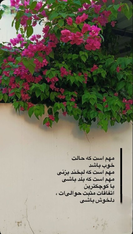 🪻🌺درود دوستان🌺🪻