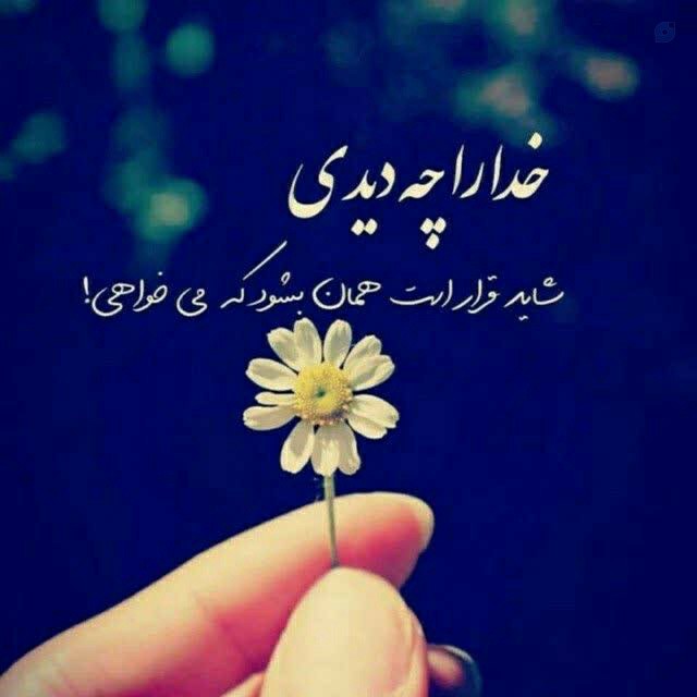 شبتون بخیر و شادی 🌹🌹