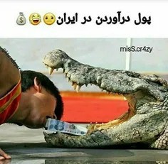 آقای دولت