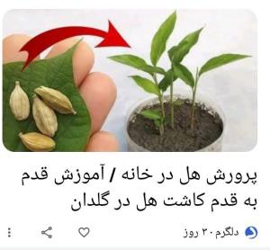 😃درگوگل‌مشاهده‌آموزش🎁،پس‌هل‌هم‌میتونیم‌بکاریم!