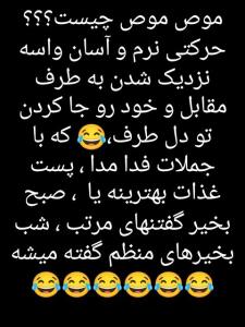 طنززززز 😂😂😂😂