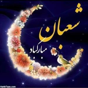 سلام برشعبان واعیادش💐

سلام برحسین علیه السلام وعباسش🌸

سل