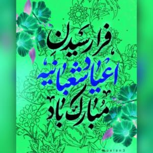 یا امام علی