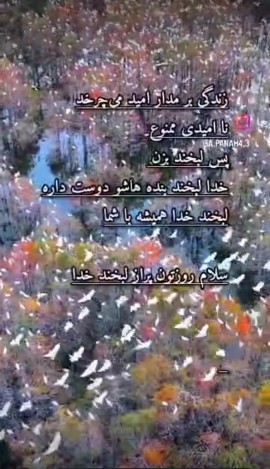 سلام روزتون پر از امید 🌱🤲♥️🌹