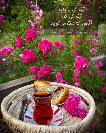 آن طور که دلت می گوید....