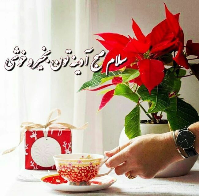 ادینه روزتون مبارک🌹🌹🦋