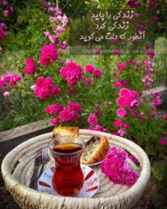 آن طور که دلت می گوید....