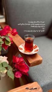 عصربخیر.... ☕️❄️