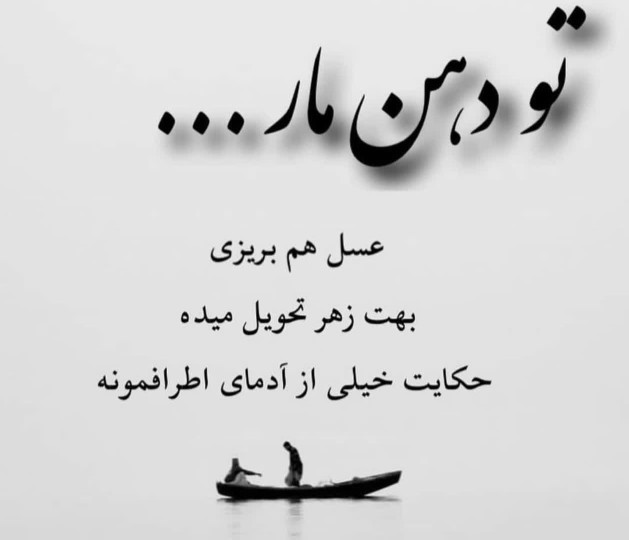 تو دهان مار

عسل هم بریزی

بهت زهر تحویل میده

حکایت خیلی از