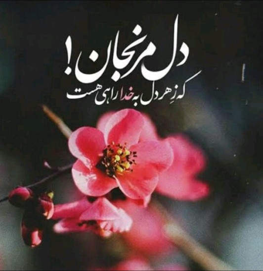 سلام روزتون بخیروشادی🌼🌸