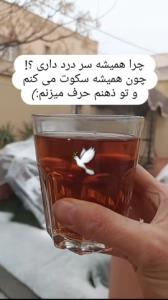 بخیر باشه عصرتون... 🕊