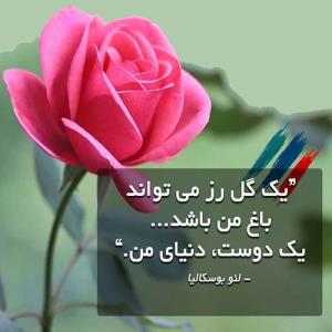 شب آرومی داشته باشین 👍