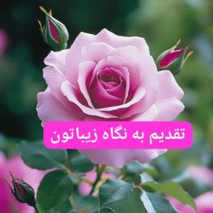 سلام صبحتون بخیر 🌹🌺🌹