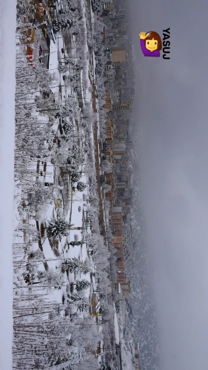 یاسوج شهر من ❄💚