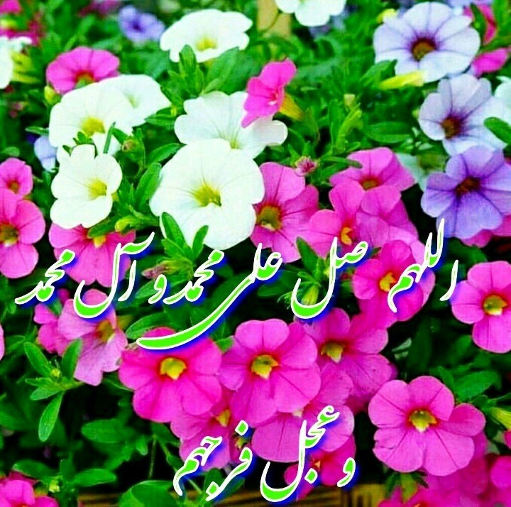 شادی روح همه رفتگان فاتحه و صلوات🌺🌺