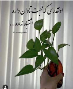 اونقدری که محبت تاوان داره اشتباه نداره👌👌👌⚘️⚘️⚘️