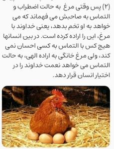 نعمت بدون منت(۲﴾ 