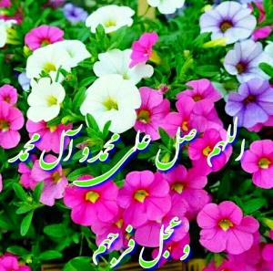 شادی روح همه رفتگان فاتحه و صلوات🌺🌺