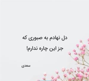 چه کنم که الان تورو ندارم تک نگارم😌