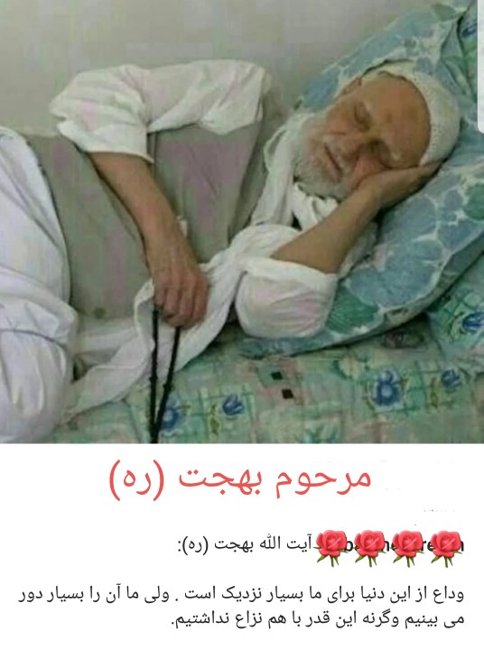 مرحوم بهجت (ره) ۰۰۰