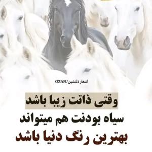 شبتون رویایی و پر از آرامش و حس خوب 