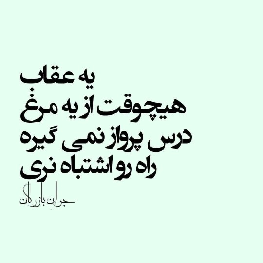 عصر بخیر 