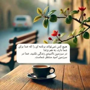 شب بخیر رفقای گلم🌹🌹