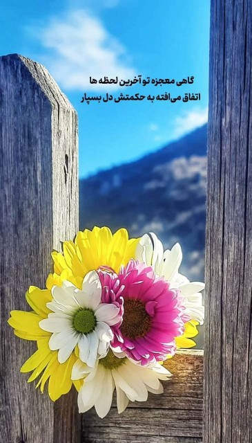 معجزه   