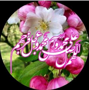 شادی روح همه رفتگان فاتحه و صلوات 🌺🌺