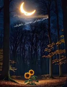 شبتون آروم.🌻🌻🌻🌻