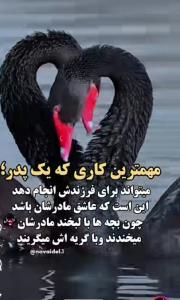 🌺🌿 سلام به همه پدرای عزیز و گرامی 🌿🌺