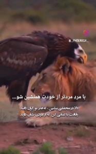 سلام‌به همه خبری ها عصرتون خوش 