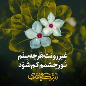 لبیک یا مهدی 