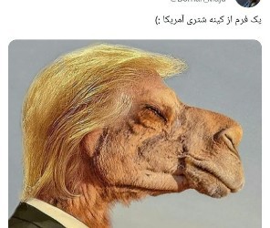 مذاکره.🐫