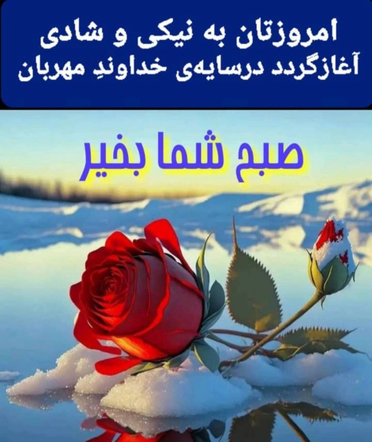 سلام صبح همگی بخیر 