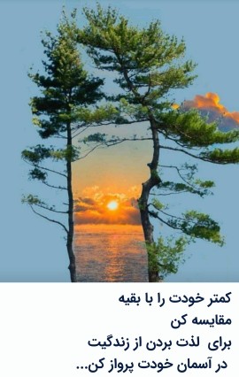 پس پرواز کن در آسمان 