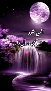 شب خوش خوشگلا 🌹