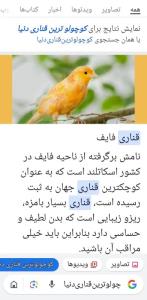 کوچولوترین‌قناری‌دنیا🤗😃🤩