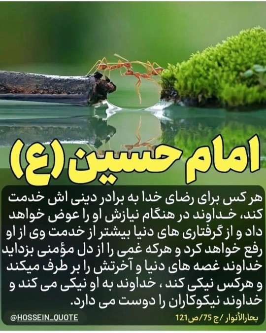 حدیث امشب 